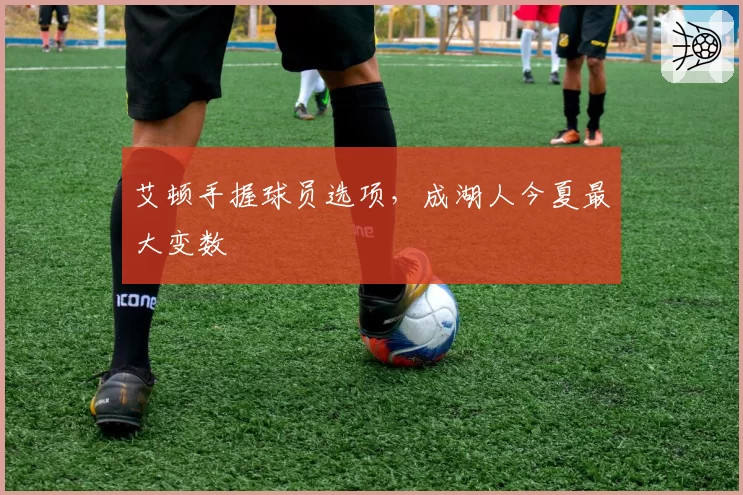 艾顿手握球员选项，成湖人今夏最大变数